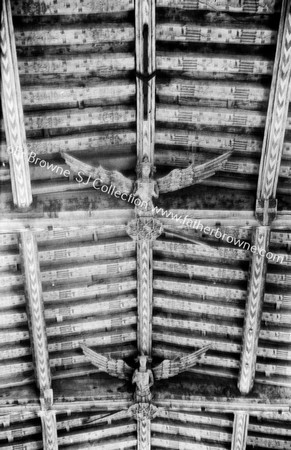 INTERIOR CEILING DETAIL